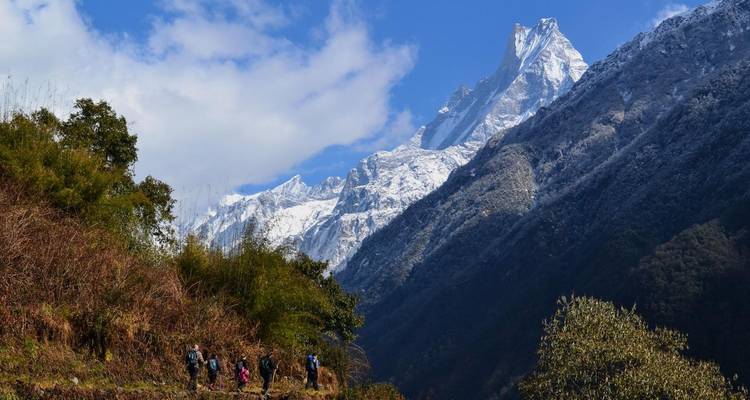 Hikers walking with snow-capped peak in the background.