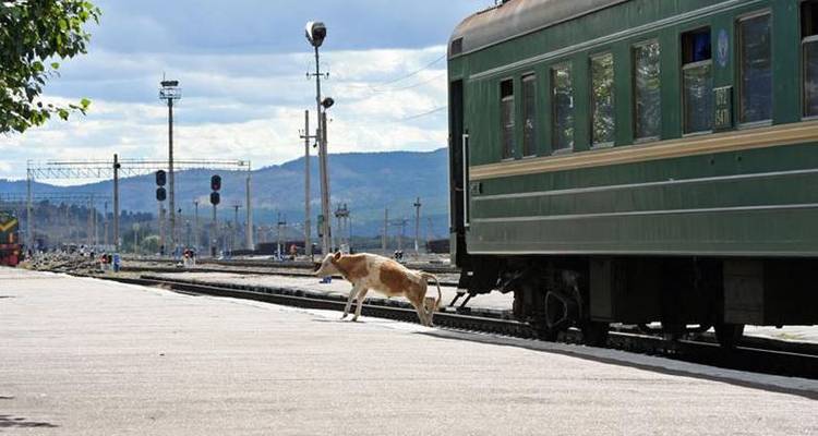 The Trans Siberian Railway with China and Mongolia (from Beijing to St Petersburg) - Sundowners Overland