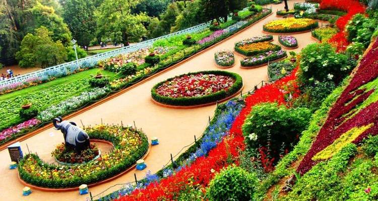 Jardin de fleurs vibrant avec des sentiers complexes et des décorations.