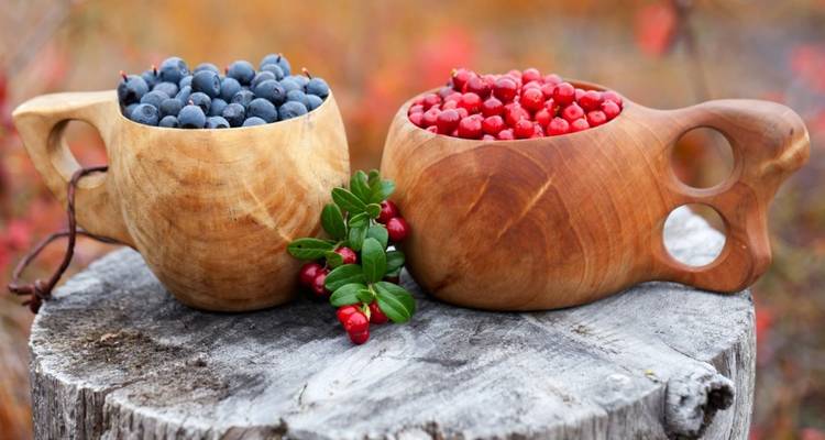 Tazas de madera llenas de arándanos azules y arándanos rojos.