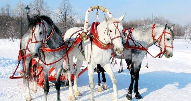 Christmas Trans Mongolian - Sundowners Overland