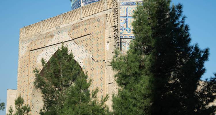 Abschnitt einer historischen Backsteinmauer und eines gefliesten Turms, teilweise verborgen von Kiefern