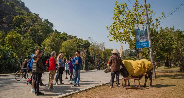 Een groep toeristen die staan bij een versierde buffel in een parkomgeving.
