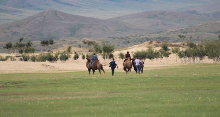 Gente montando camellos a través de una llanura herbosa con montañas en la distancia.