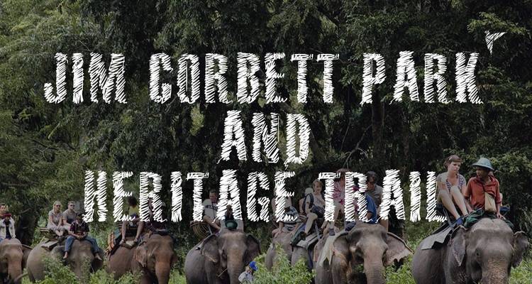 Corbett National Park Tour From Delhi - 10th Gate DBA Sam Tours & Travel