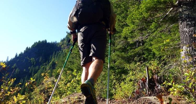 Wanderer mit Rucksack und Wanderstöcken auf einem Bergpfad.