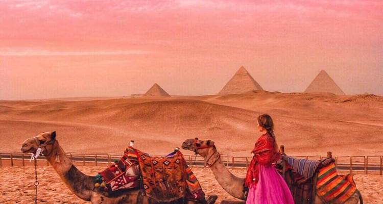 Femme avec des chameaux contemplant les pyramides au coucher du soleil.