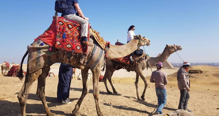 Touristen und lokale Führer reiten auf Kamelen über goldene Wüstensande mit Pyramiden im Hintergrund.