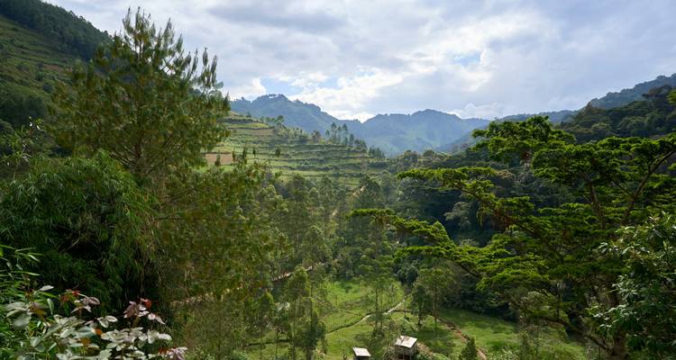 Valle verde y espacioso rodeado de crestas boscosas y terrazas de retales bajo un cielo siempre cambiante.