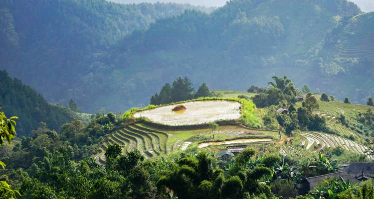 Los campos en terrazas se curvan alrededor de un pequeño estanque reflectante en una ladera brumosa.