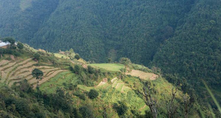 Acantilado de montaña empinada salpicado de parcelas estrechas en terrazas y vegetación densa.