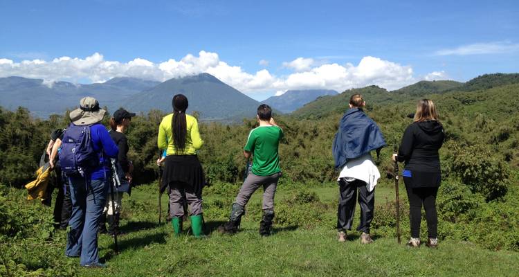 Trekking Mountain Gorillas, Chimpanzees and Golden Monkey - Virunga Programs