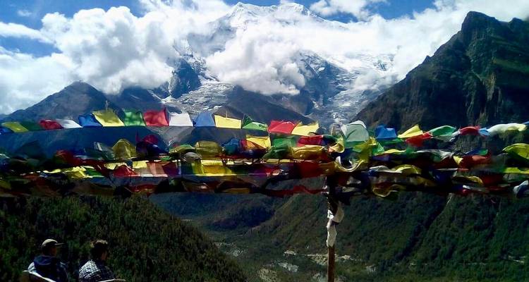 Dicht bos met kleurrijke gebedsvlaggen en met sneeuw bedekte bergen.