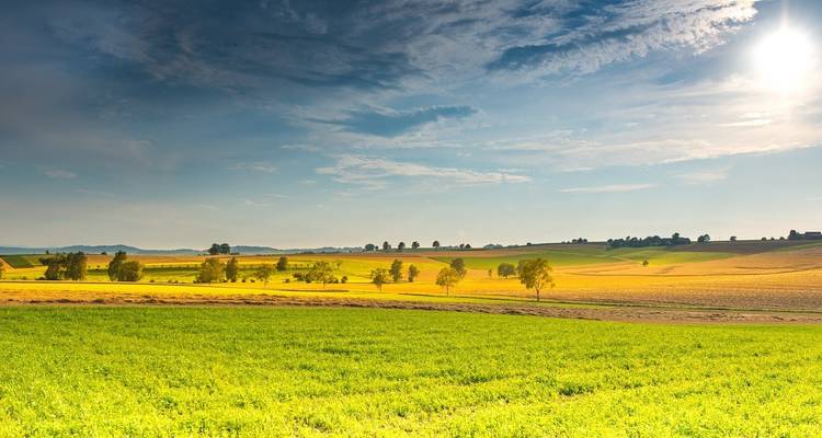 Vue étendue de champs lumineux sous un ciel bleu.