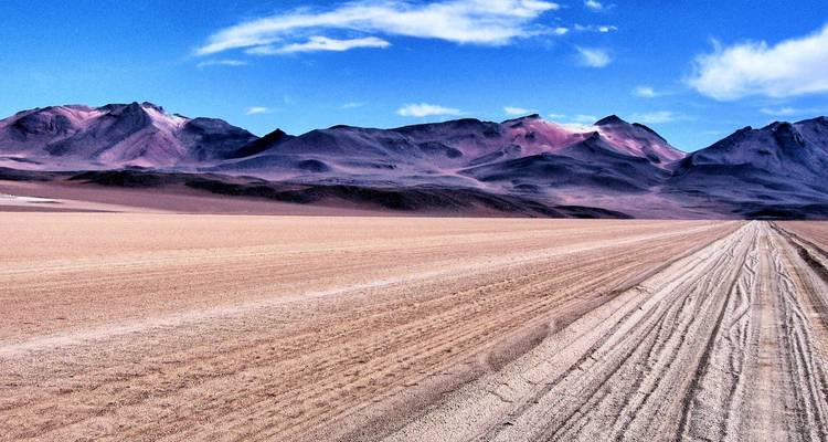 Amplio paisaje desértico con un telón de fondo de montañas escarpadas.