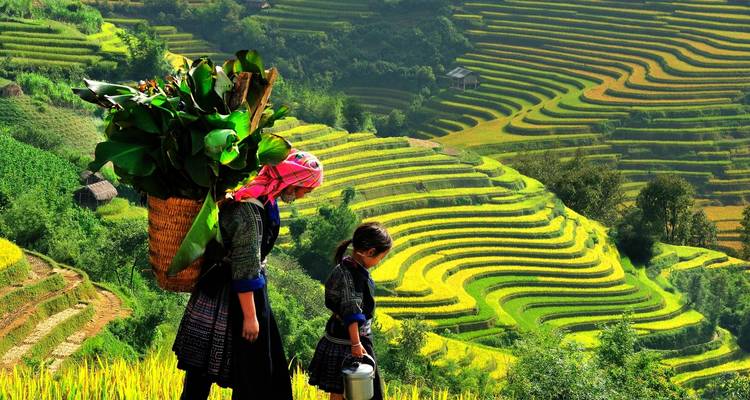 Woman and child in traditional dress carrying baskets in rice terraces.