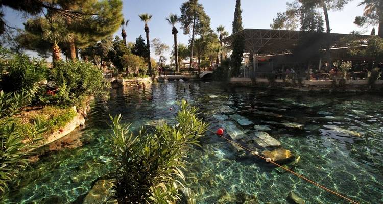 Lush garden around a large pool with outdoor dining.