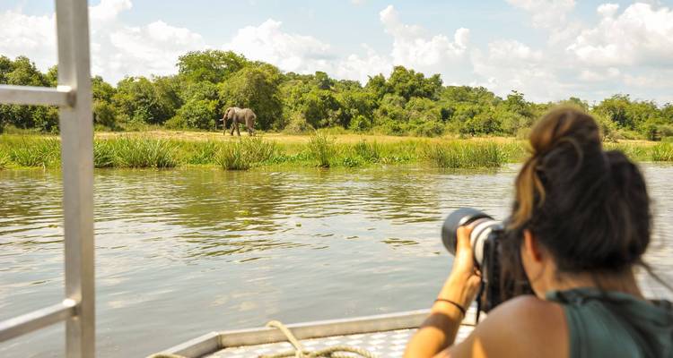 6 Days Gorillas and Murchison Falls National Park safari - Gorilla Link Tours