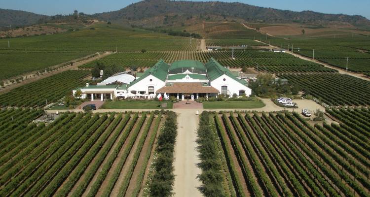 Aerial perspective of a winery estate surrounded by endless rows of vineyards.