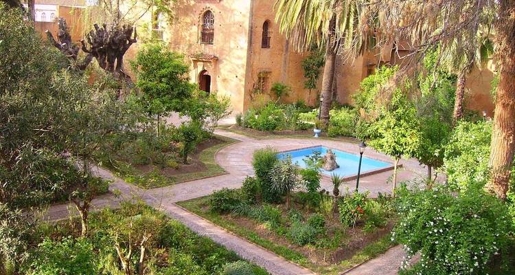 Jardín exuberante con una piscina central rodeada de árboles.