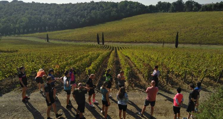 Grupo de personas explorando un viñedo en la Toscana, Italia.