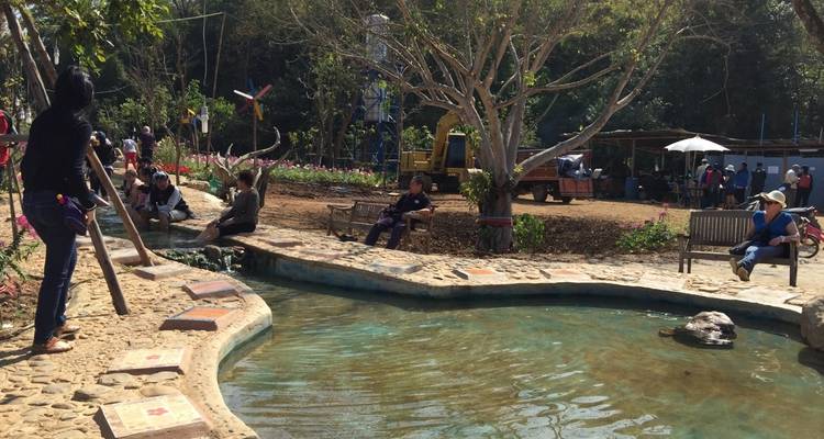 Des gens se détendent près d'un petit étang dans un parc.