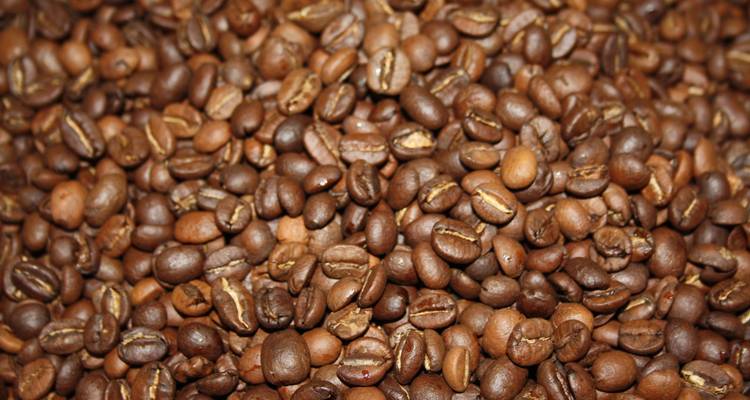 Nahaufnahme von gerösteten Kaffeebohnen.