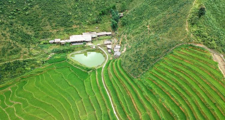 Luftaufnahme von leuchtend grünen Reisterrassen und einem ländlichen Dorf.