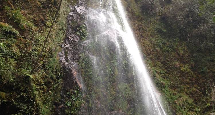 Wasserfall, der eine felsige Klippe hinunterstürzt, umgeben von Grün.