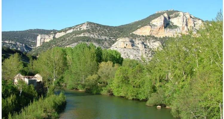Rivière coulant à travers une vallée verdoyante luxuriante avec des montagnes rocheuses.