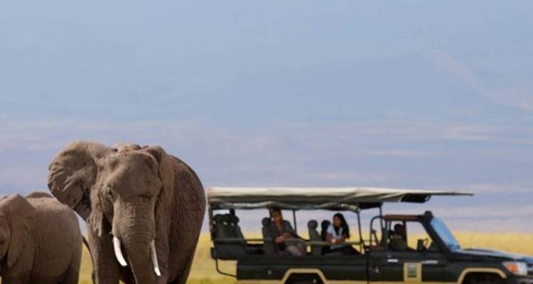 8 Days Great Kenya Safaris- Mombasa-Tsavo East -Nairobi-Masai Mara-Nakuru-Amboseli-Tsavo West - Majestic African Safaris