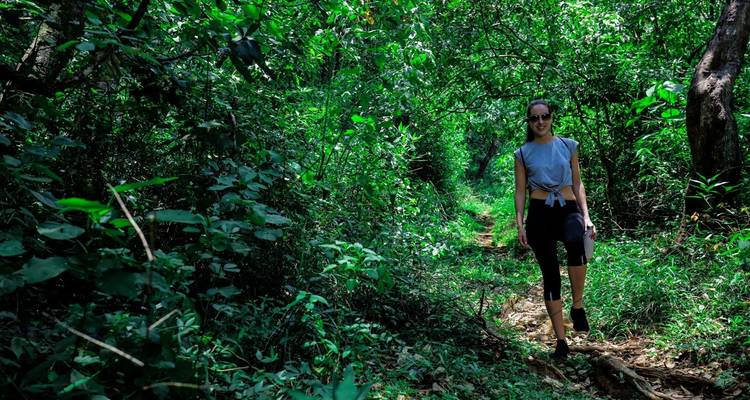 Persoon die door een dicht tropisch bos loopt.