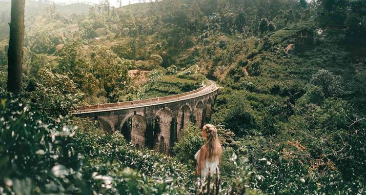 Persona contemplando un pintoresco puente ferroviario rodeado de exuberante vegetación.