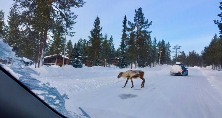Winter Fairy Tale 6 Day tour. Helsinki - Lapland and Back - Scandi Travel