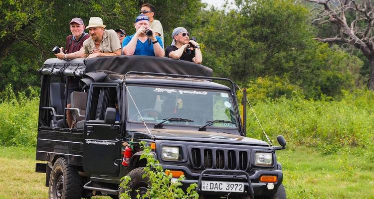 Touristen in einem Safari-Fahrzeug beobachten Wildtiere.