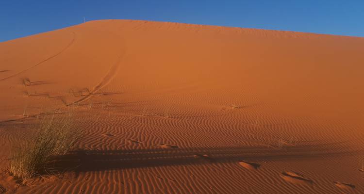 Sanddüne mit detaillierter Textur und blauem Himmel.