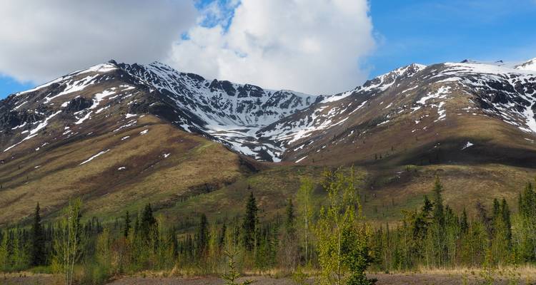 Pente alpine ondulante avec des plaques de neige éparses s'élevant vers des pics montagneux dentelés du Yukon sous un ciel bleu.