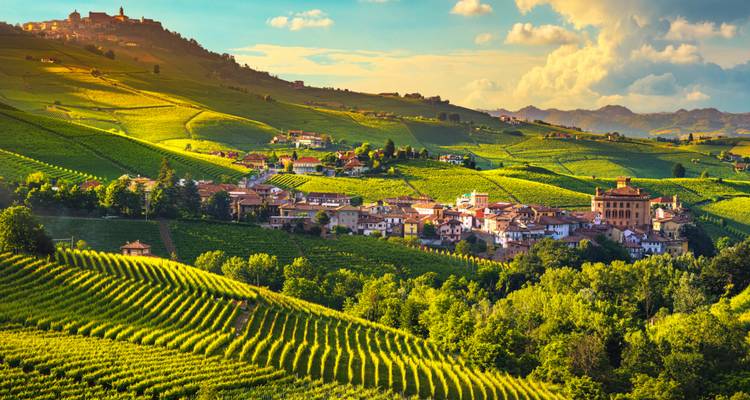 Scenic landscape with a village and vineyards.