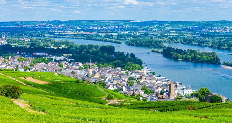 Green vineyards sweeping down to the Rhine River and a historic town below rolling hills.