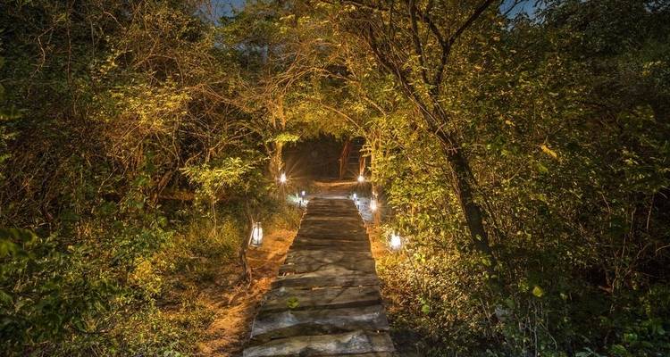 Steinpfad mit Laternen durch ein bewaldetes Gebiet bei Nacht.