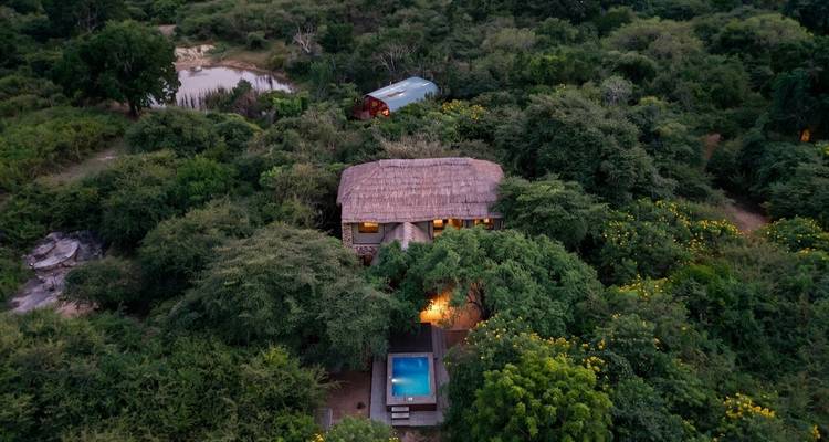 Remote eco-lodges with private pool surrounded by thick greenery and wetlands at dusk.
