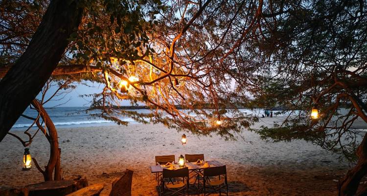 Cozy beachside dining setup under lantern-lit branches as evening light fades over the ocean.