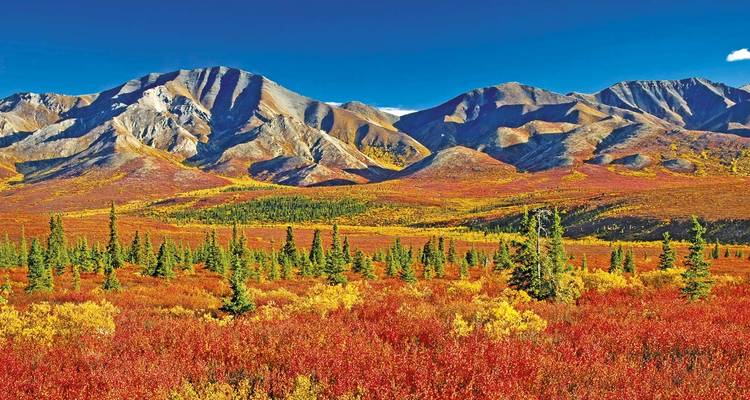 Canadian Rockies, Alaska & Arctic Circle 2020 (Start Vancouver, End Fairbanks, 27 Days) - Scenic Luxury Cruises & Tours