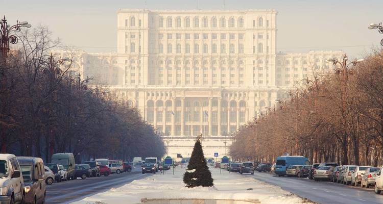 Grand governmental building surrounded by trees and snow.
