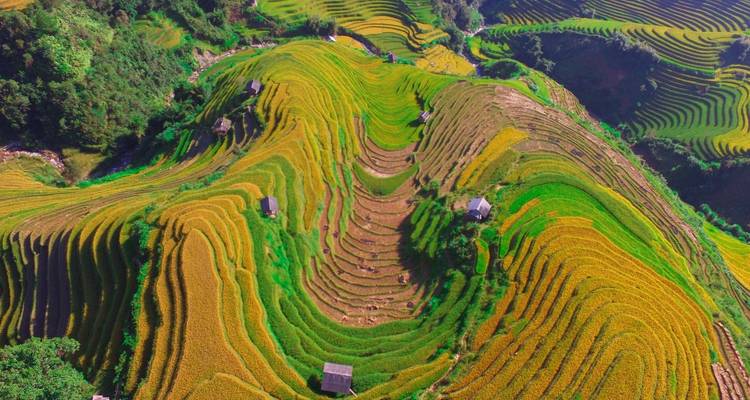 Vista aérea de campos en terrazas y chozas tradicionales.