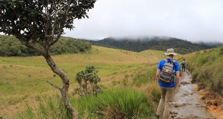 Wanderer, die auf einem Pfad in nebligen Hügeln entlanggehen.
