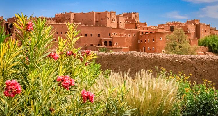 Adobe fortress with pink flowers in the foreground.