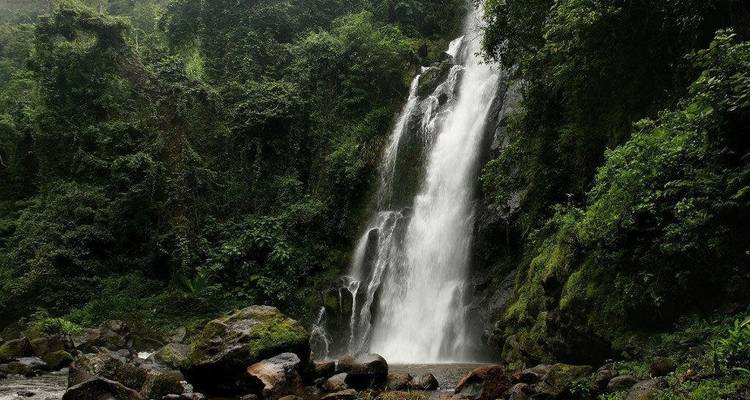 Een grote waterval te midden van dichte begroeiing.