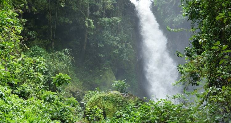 Krachtige waterval met omringende weelderige bossen.