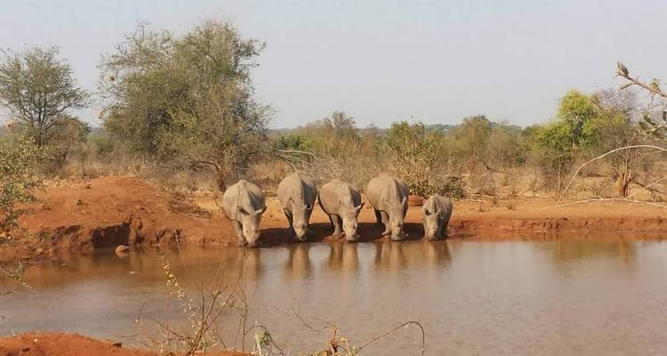 8-Days Zambia /Botwana Chobe - Game Drives / River Safaris Experience - African joined tours and safaris